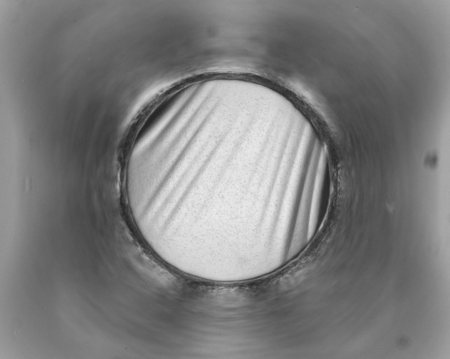 X0000089961408200707201938