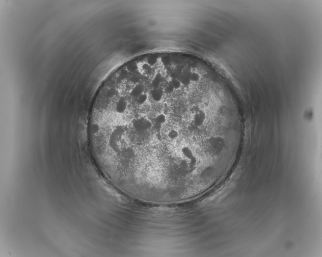 X0000089961409200707201938