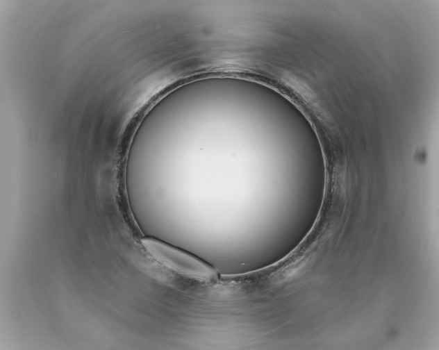 X0000089961410200707201938