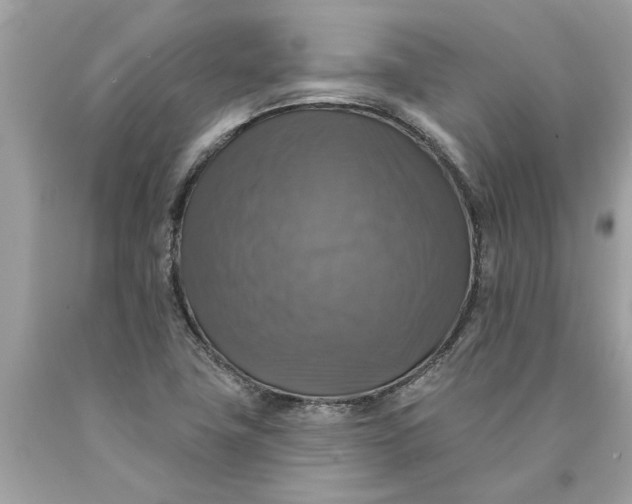 X0000089961411200707201938