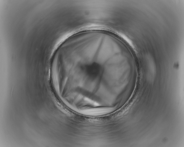 X0000089961413200707201938