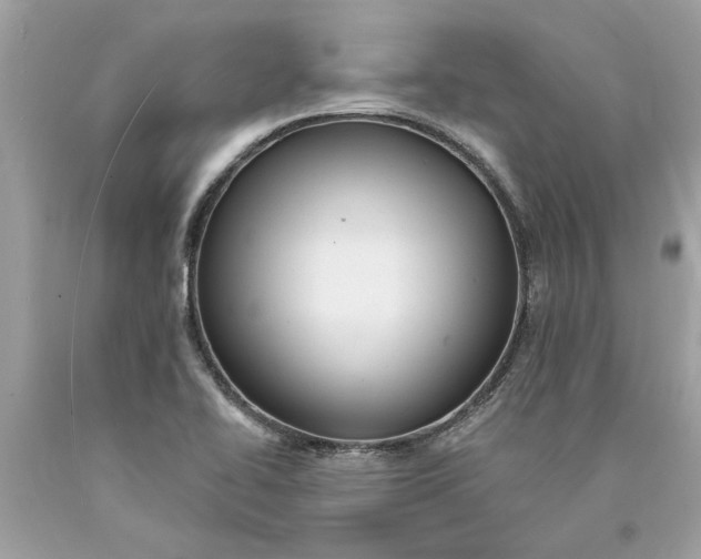 X0000089961414200707201938