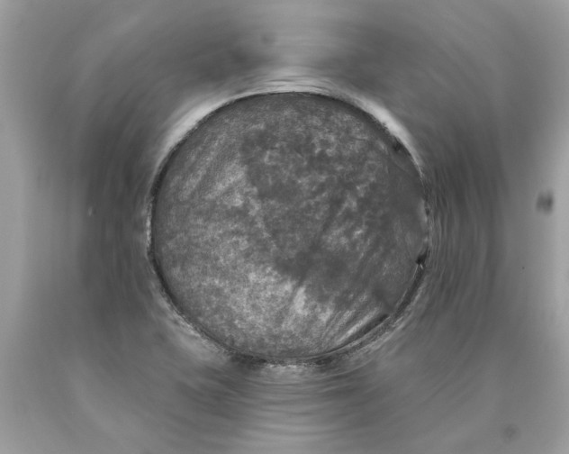 X0000089961415200707201938