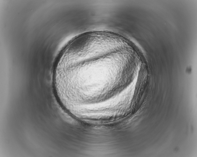 X0000089961416200707201938