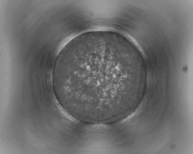 X0000089961417200707201938