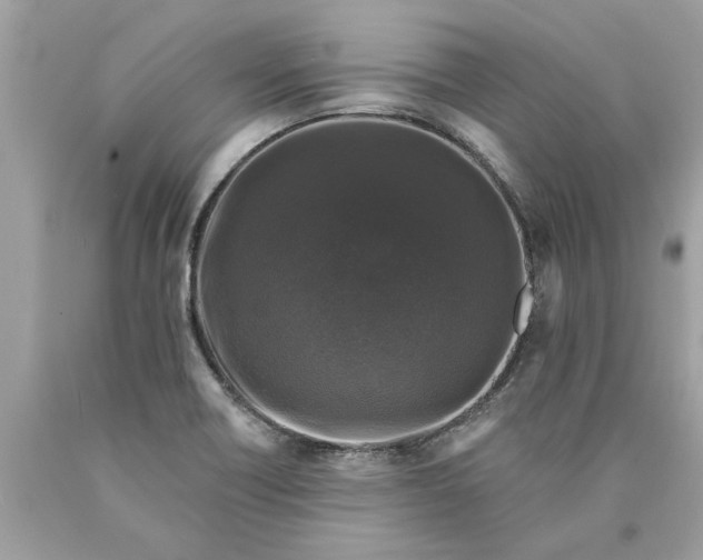 X0000089961418200707201938