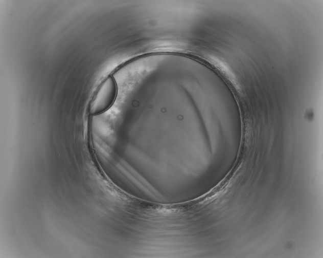 X0000089961419200707201938