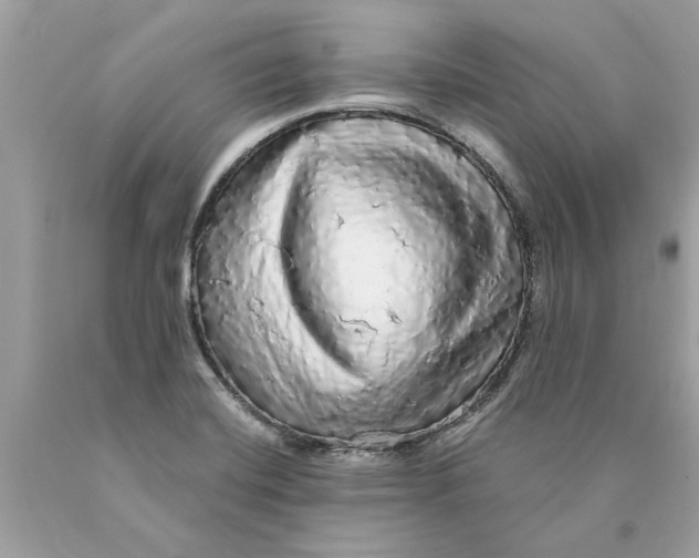 X0000089961420200707201938