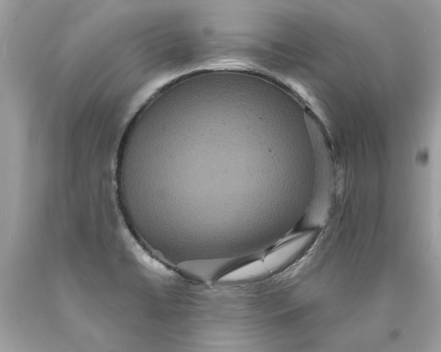 X0000089961422200707201938