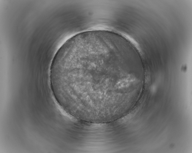 X0000089961423200707201938