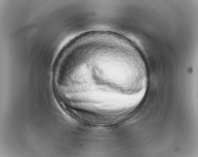 X0000089961424200707201938