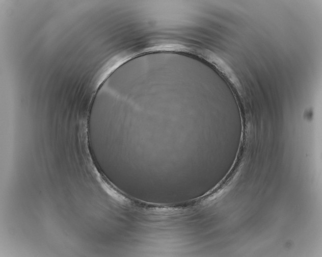 X0000089961425200707201938