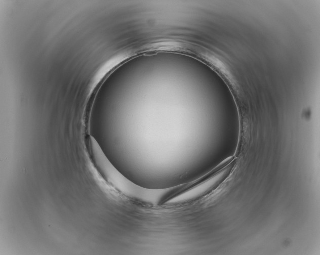 X0000089961426200707201938