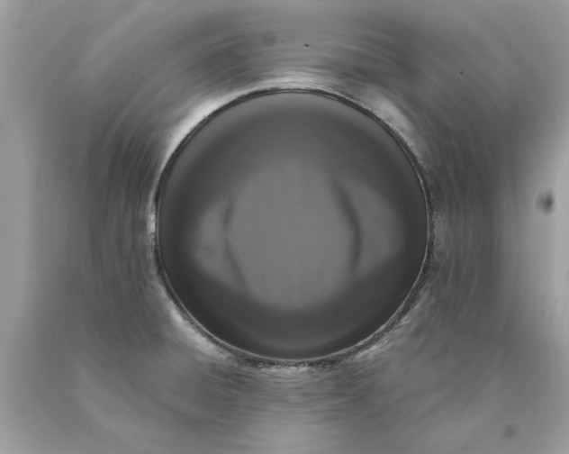 X0000089961428200707201938