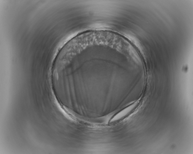 X0000089961429200707201938