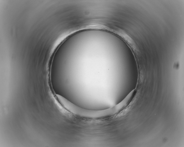 X0000089961430200707201938