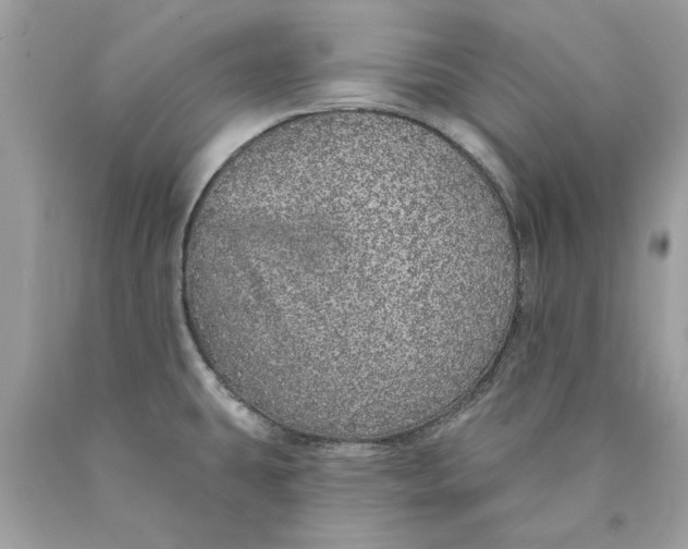 X0000089961431200707201938