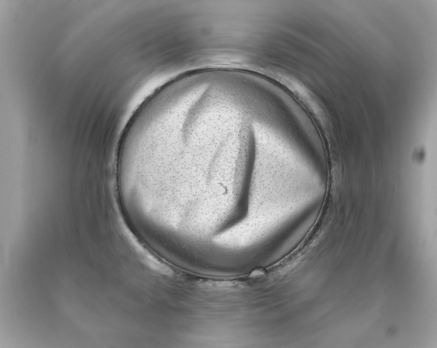 X0000089961432200707201938