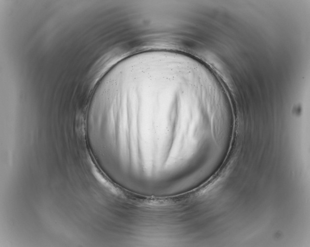 X0000089961433200707201938