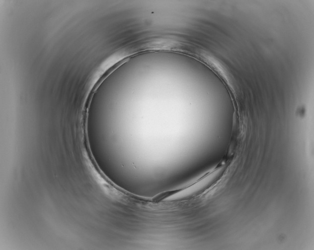 X0000089961434200707201938