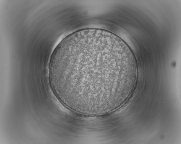 X0000089961436200707201938