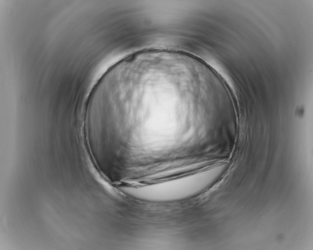 X0000089961437200707201938