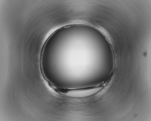 X0000089961438200707201938