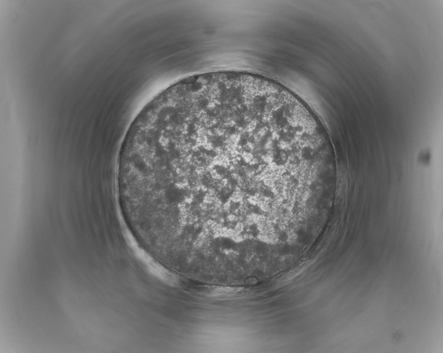 X0000089961439200707201938