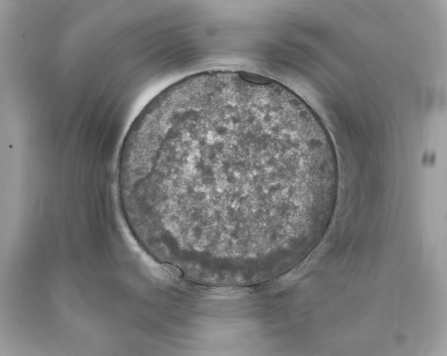 X0000089961440200707201938