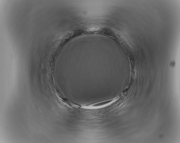 X0000089961441200707201937