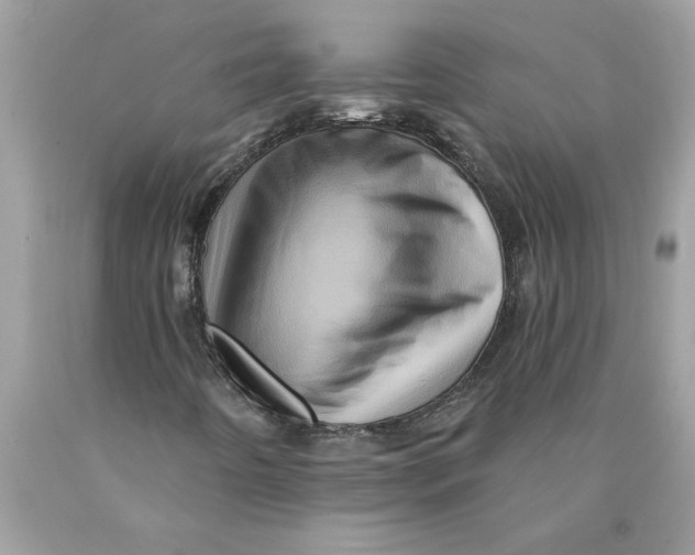 X0000089961442200707201937