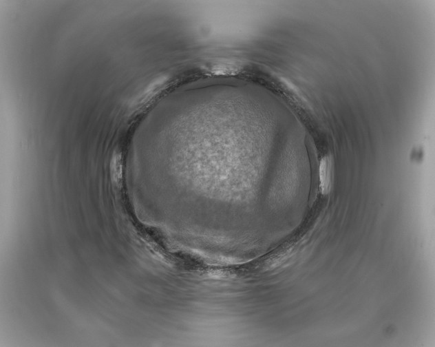 X0000089961443200707201937