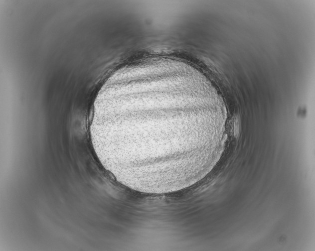 X0000089961444200707201937