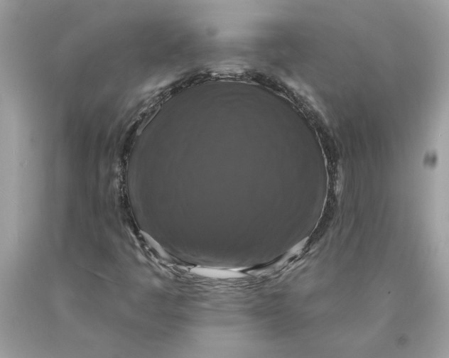 X0000089961445200707201937