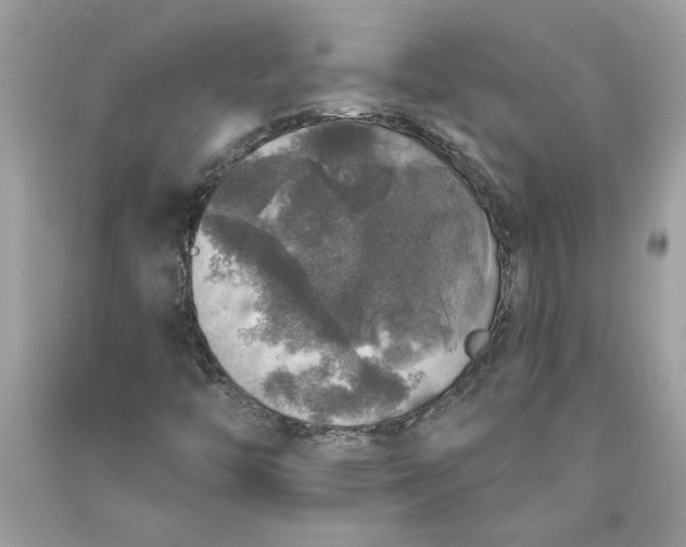 X0000089961446200707201937