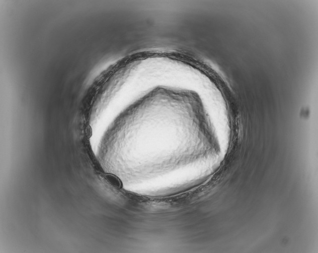 X0000089961448200707201937