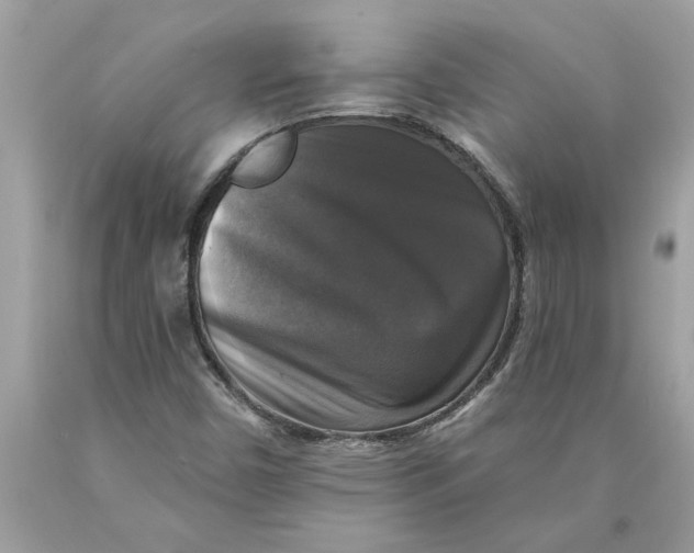 X0000089961450200707201937