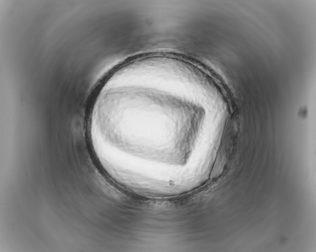 X0000089961452200707201937