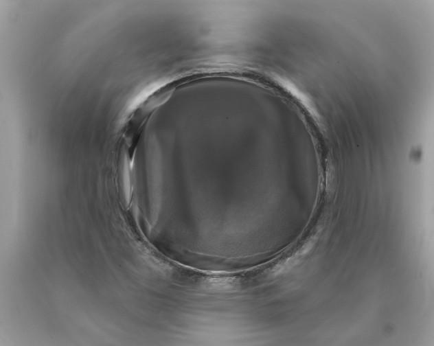 X0000089961453200707201937