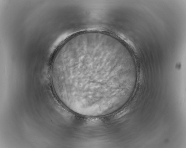 X0000089961454200707201937