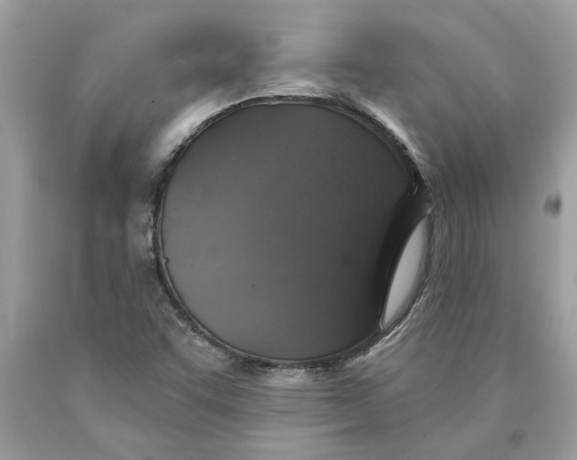 X0000089961455200707201937