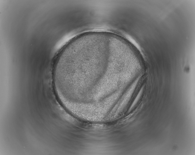 X0000089961456200707201937