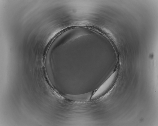 X0000089961457200707201937