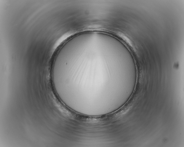 X0000089961458200707201937