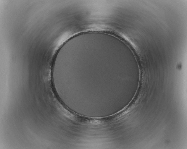 X0000089961459200707201937