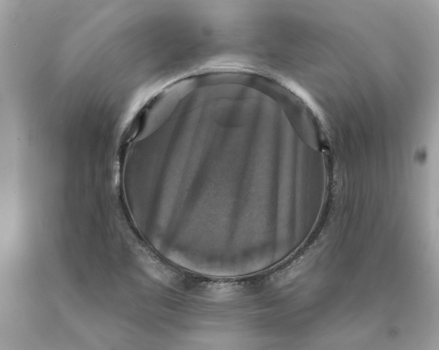 X0000089961461200707201937