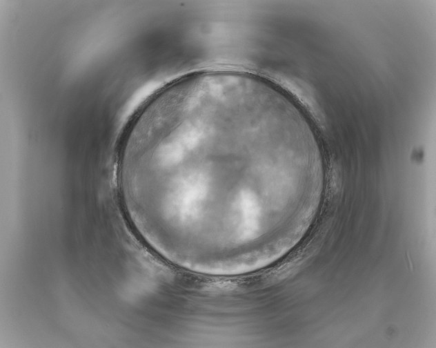 X0000089961462200707201937