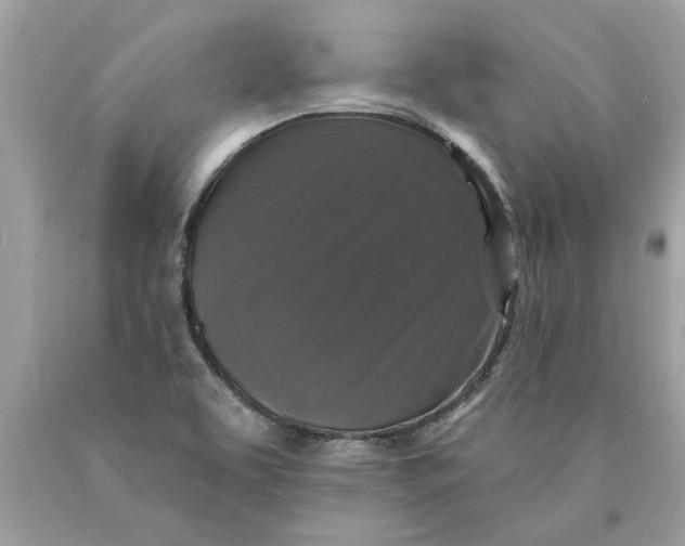 X0000089961463200707201937