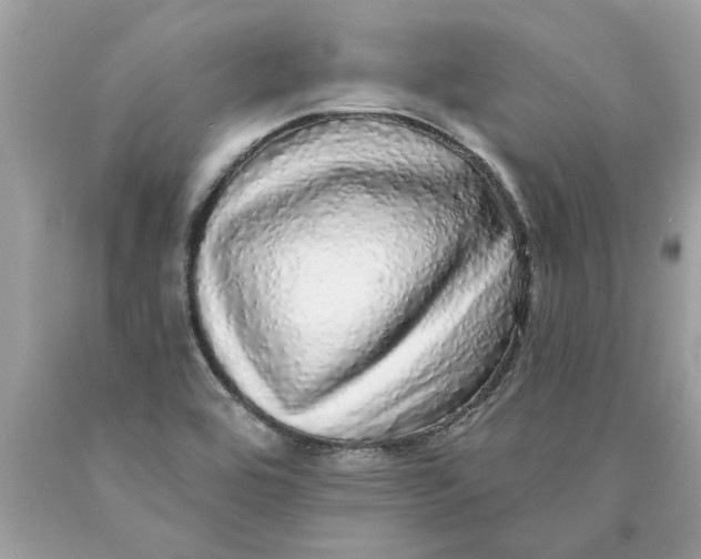 X0000089961464200707201937