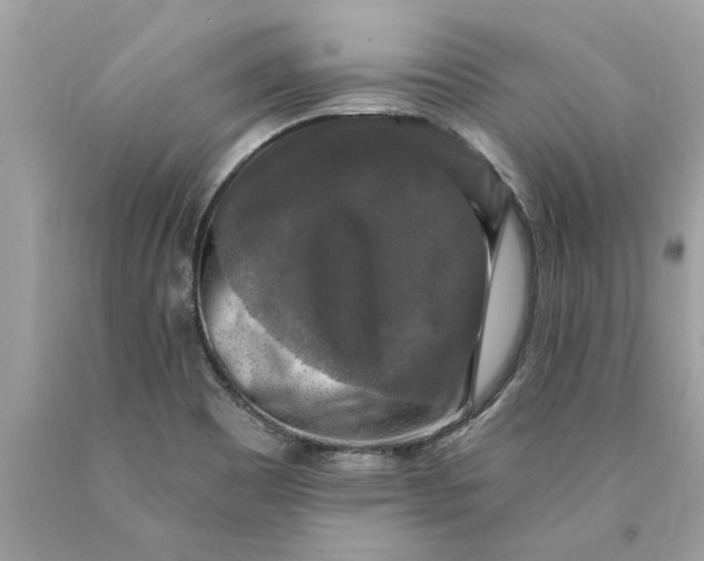 X0000089961465200707201937